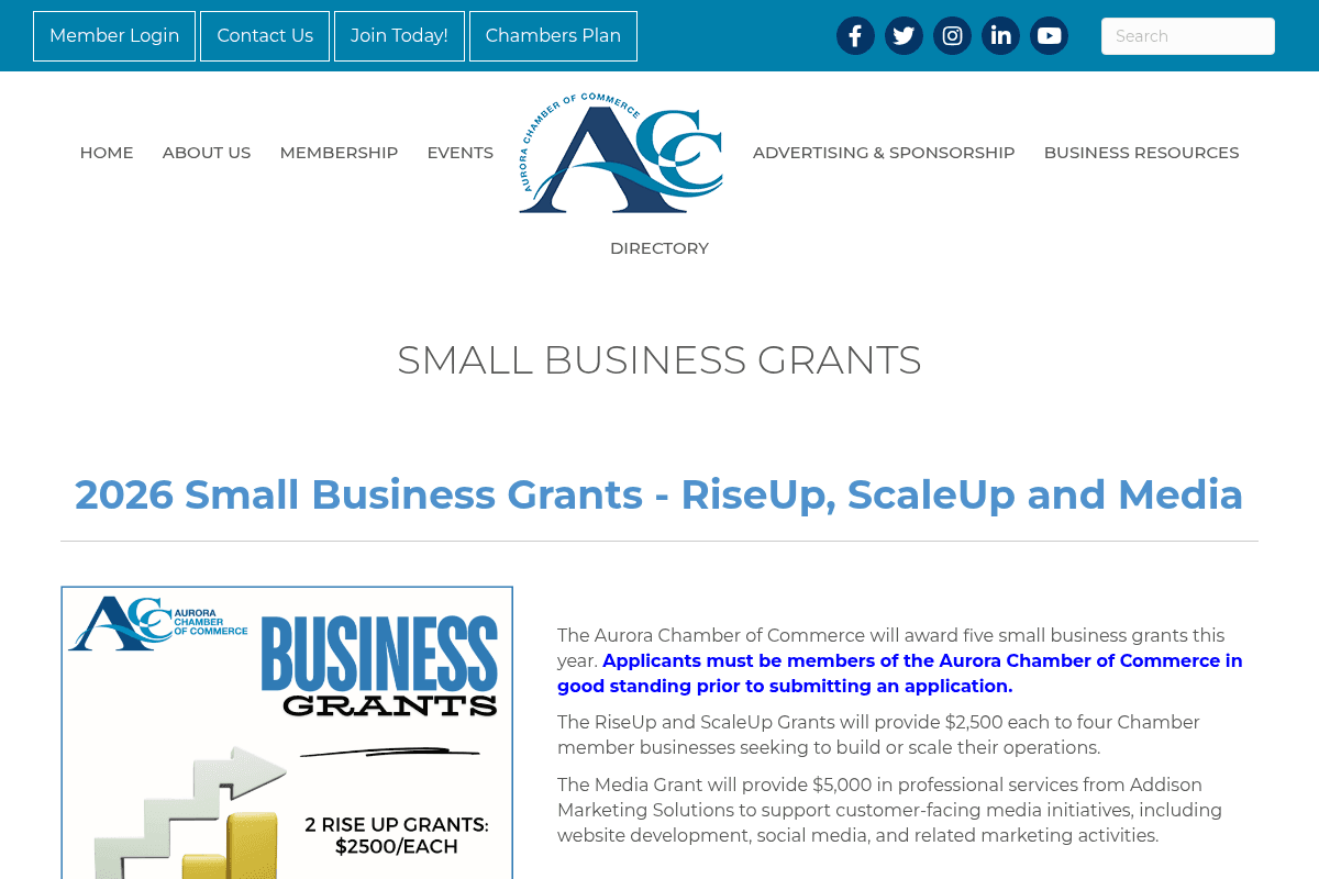 2026 Small Business Grants - RiseUp, ScaleUp and Media