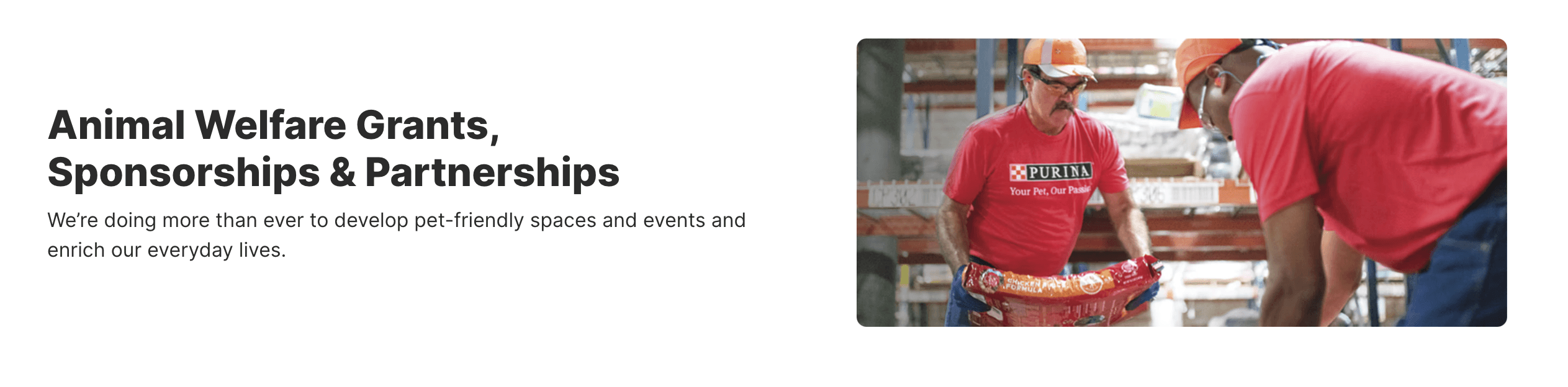 Purina Foundation Annual Grant Program