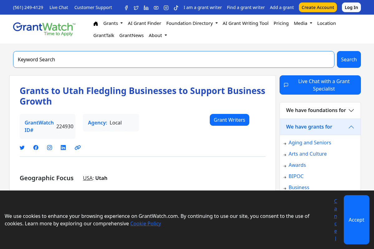 Fledgling Business Grants to Support Business Growth
