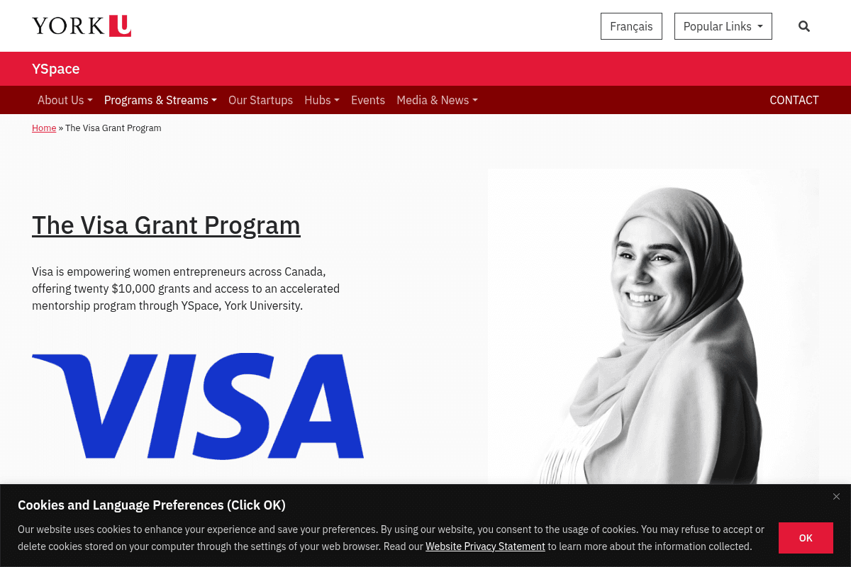 The Visa Grant Program in Canada