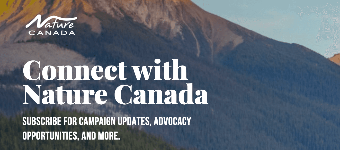 Young Nature Leaders Grant