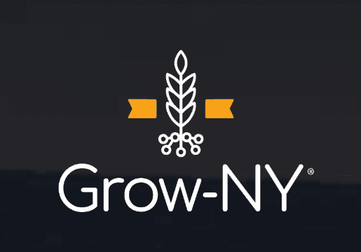 Grow-NY Startup Competition 2024