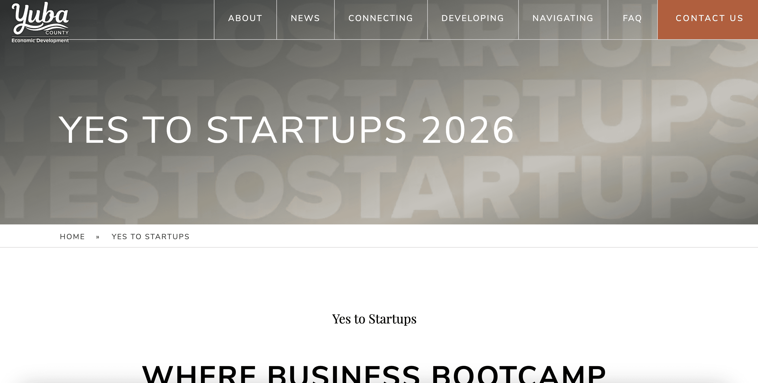 Yes to Startups
