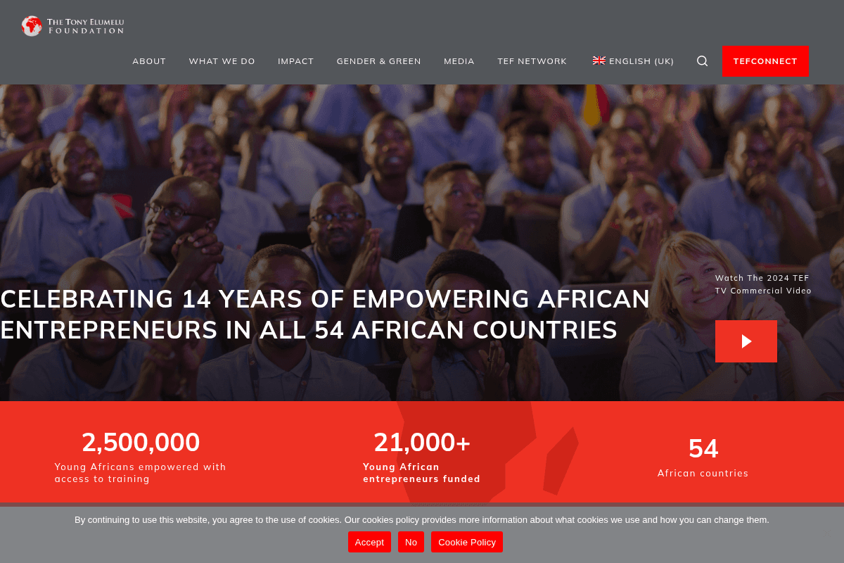 Tony Elumelu Foundation Entrepreneurship Program