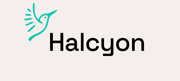 Halcyon Open Application for Impact-Driven Entrepreneurs