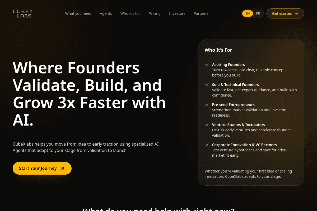 CubeXLabs Founder Validation Program