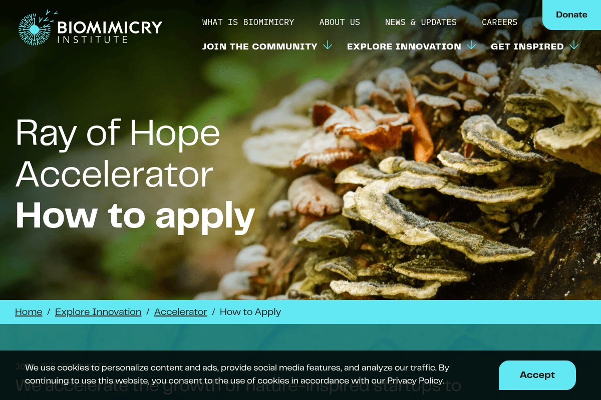 Ray of Hope Accelerator 2026 Cohort