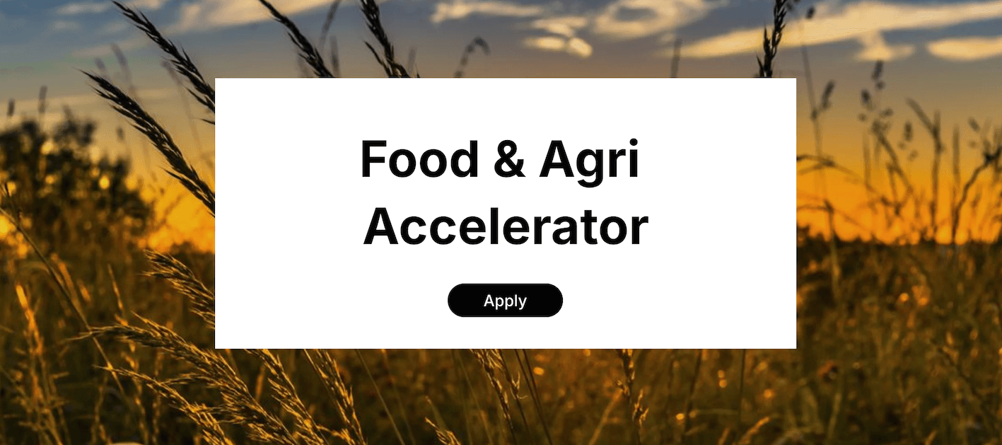 Innovate47 Food & Agri Accelerator