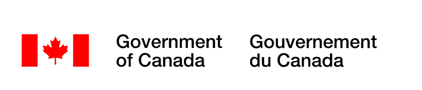 New Horizons for Seniors Program – Community-based projects