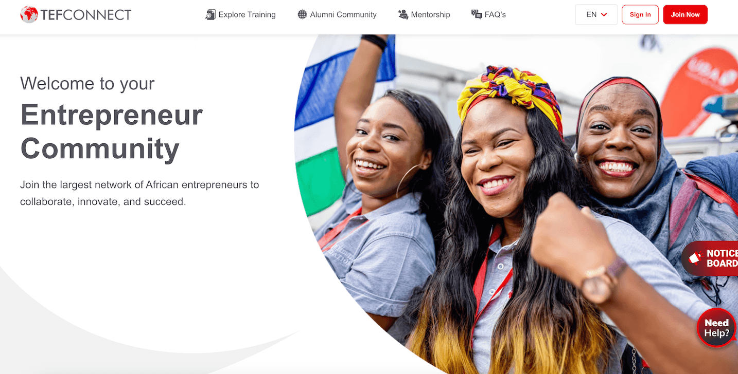 Tony Elumelu Foundation Entrepreneurship Grant 2026