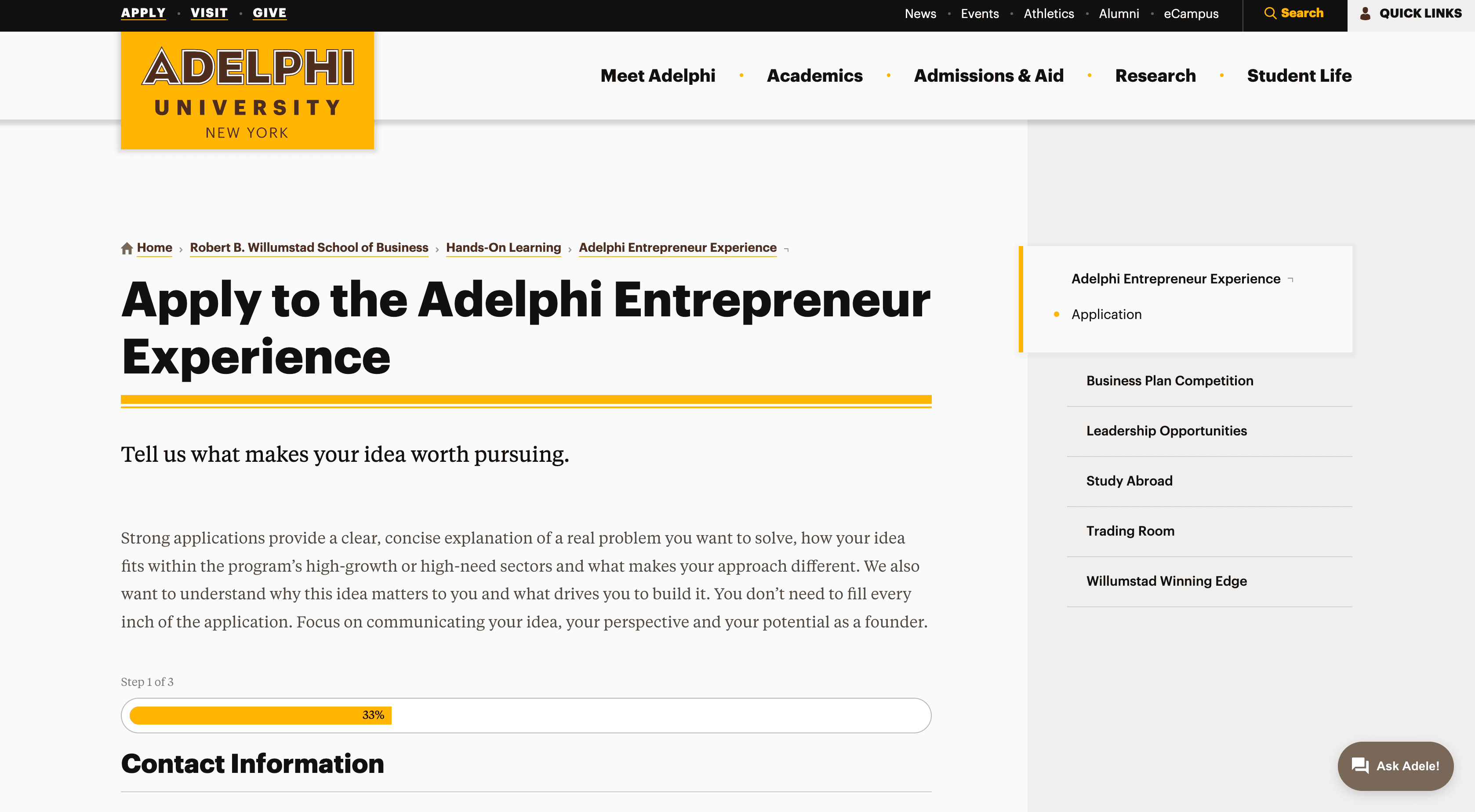 Adelphi Entrepreneur Experience 2027