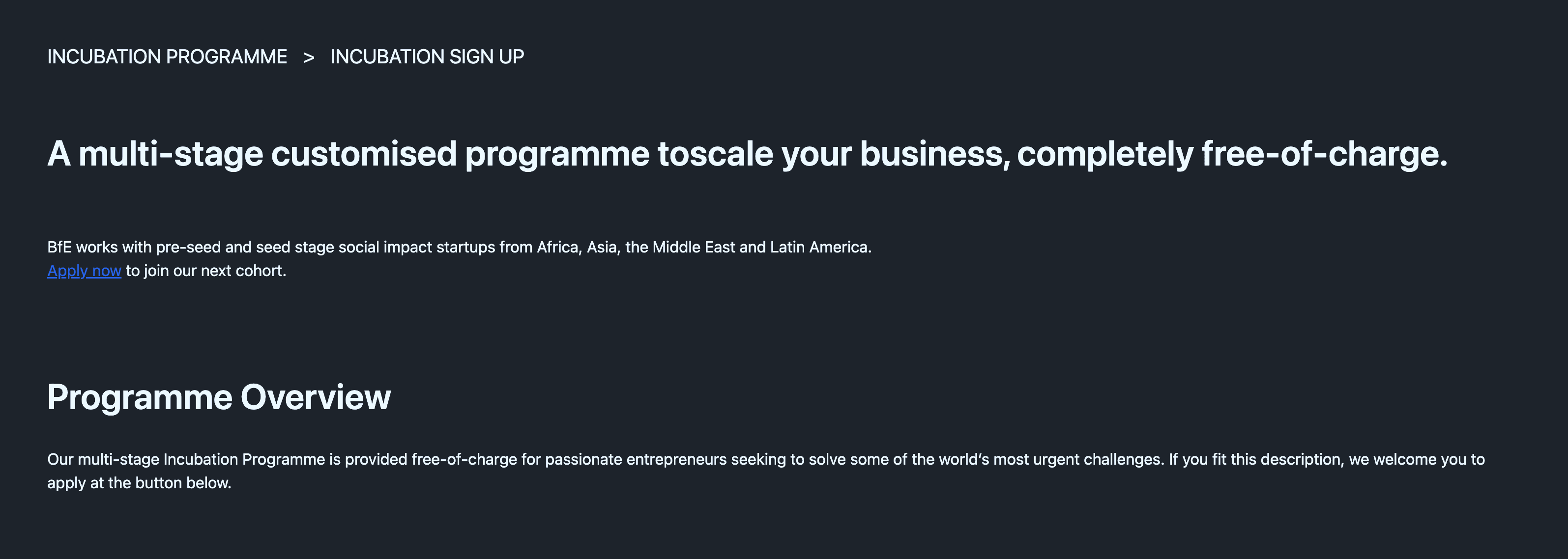 Bridges for Enterprise Incubation Programme 2024