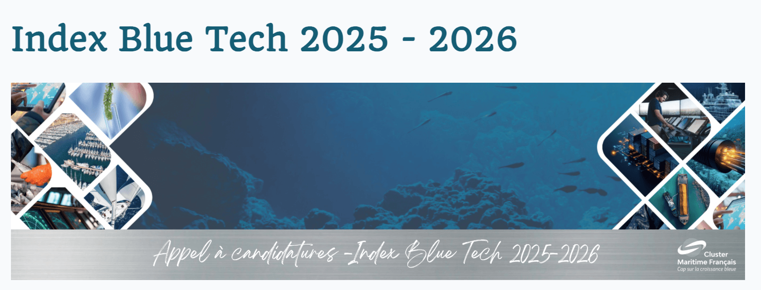 Blue Tech Index 2025
