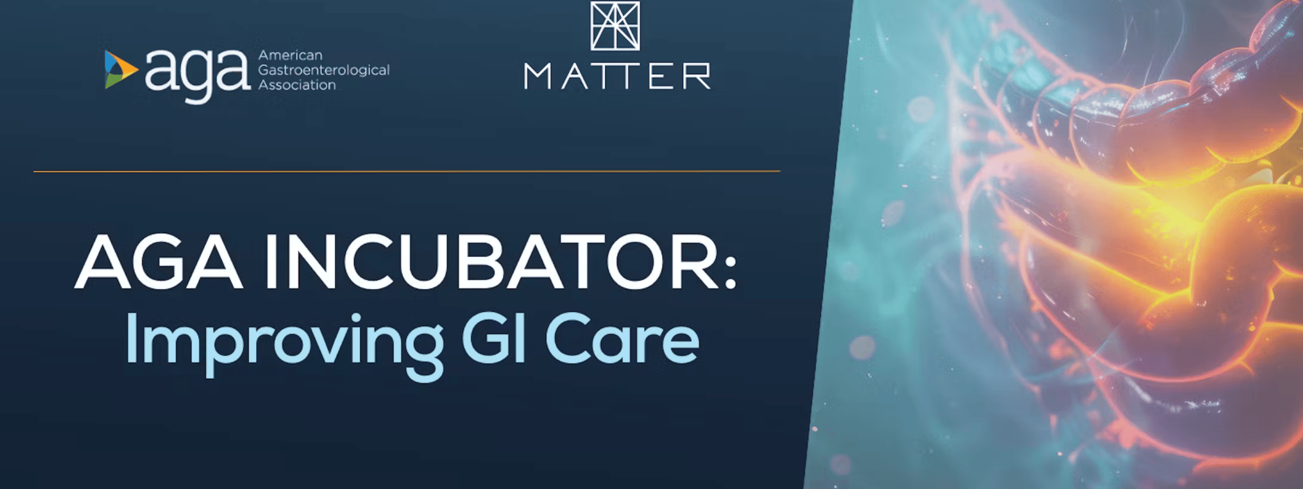 AGA Incubator: Improving GI Care